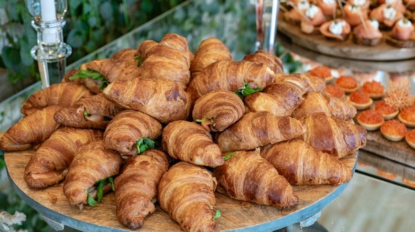 Le goût du matcha : un voyage sensoriel avec des champignons